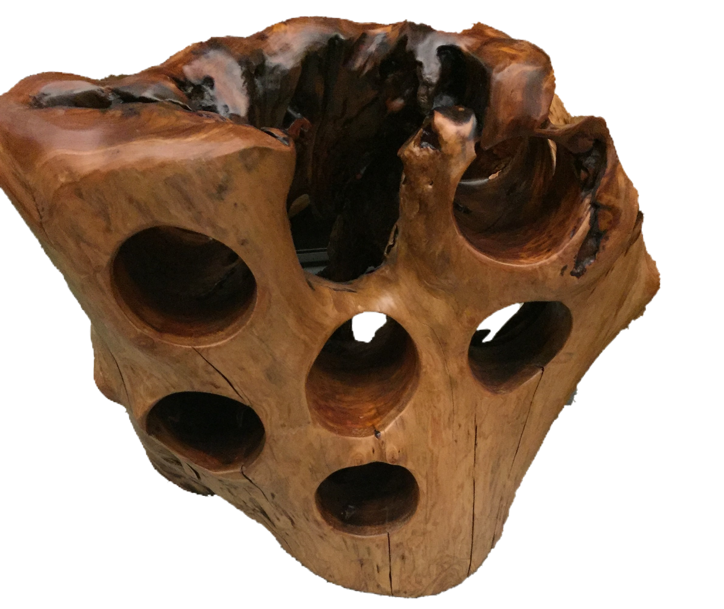 Hand-crafted root wood live edge wine holder for 6 bottles made from Asian Cypress stump